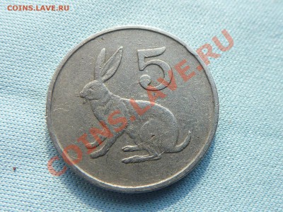 ЗИМБАБВЕ 5с ЗАЙЧИК до 27.04.11 в 22-00 - MEMO0087.JPG