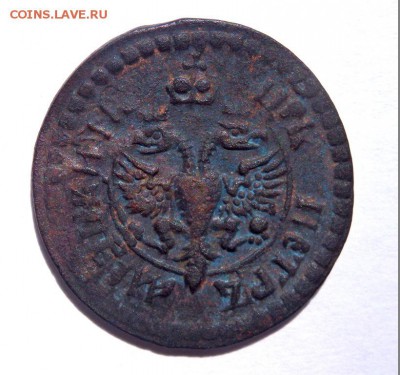 полушка 1703 года оценка - P5140327.JPG