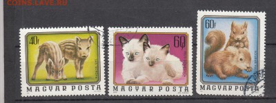 Венгрия 1974 фауна 3м - 88