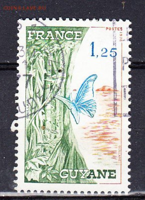 Фр Гвиана бабочка 1м - 29е