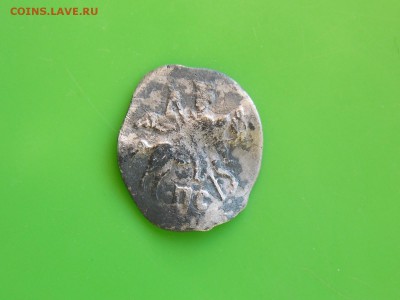чешуйка - DSCN6945.JPG