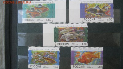 Чистые марки России. - IMG_1392 (1)_1286x722