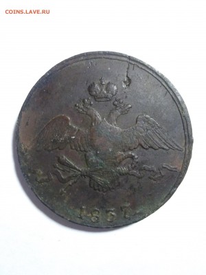 10 копеек 1837 см до 19.05 - 15264834776921019198109