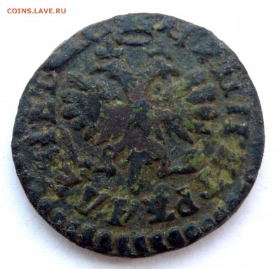 Денга 1713 года оценка - P5150338.JPG
