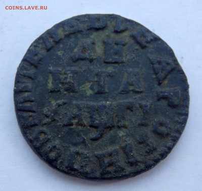 Денга 1713 года оценка - P5150337.JPG