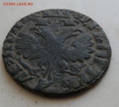 Денга ,определение года,1704? - SAM_9563.JPG