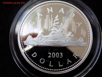 Канада 1 доллар 2003 50 лет  Коронации Елизаветы II до 20.5 - доллар 2003 реверс (1).JPG