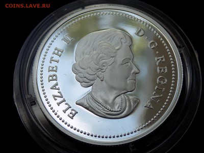 Канада 1 доллар 2003 50 лет  Коронации Елизаветы II до 20.5 - доллар 2003 аверс.JPG