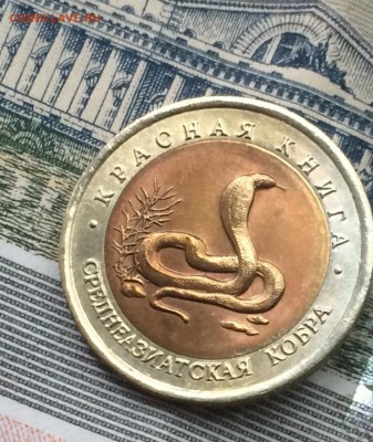 КК Кобра UNC до 23.05.2018 - IMG_0954.JPG