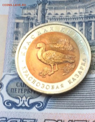 КК Казарка UNC до 23.05.2018 - IMG_0958.JPG