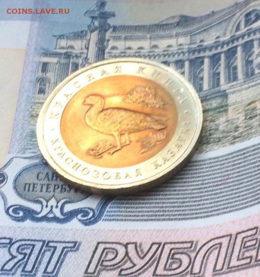 КК Казарка UNC до 23.05.2018 - IMG_0959.JPG