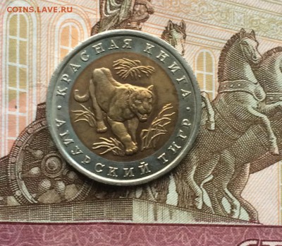 КК Тигр UNC до 23.05.18 - IMG_0964.JPG