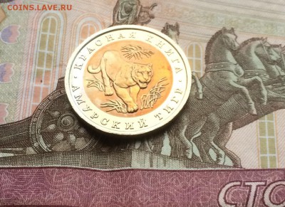 КК Тигр UNC до 23.05.18 - IMG_0965.JPG