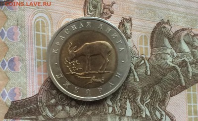 КК Джейран до 23.05.18 - IMG_0994.JPG