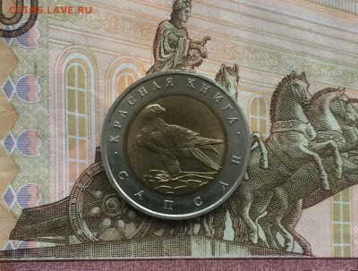 КК Сапсан UNC до 23.05.18 - IMG_0998.JPG