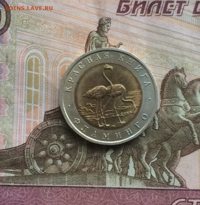 КК Фламинго UNC до 23.05.18 - IMG_0986.JPG