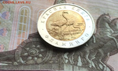 КК Фламинго UNC до 23.05.18 - IMG_0987.JPG