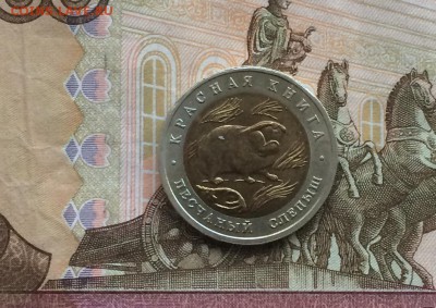 КК Слепыш UNC до 23.05.18 - IMG_1003.JPG