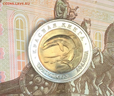 КК Афалина UNC до 23.05.18 - IMG_1008.JPG
