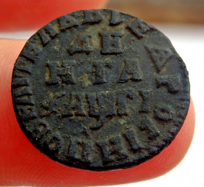 Денга 1713 года оценка - P5180384.JPG
