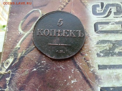 5 копеек 1831 СМ до 21.05.2018 - 1831 (7) - копия