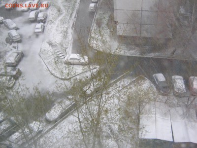 Стихи на заданную тему - IMG_4572[1].JPG