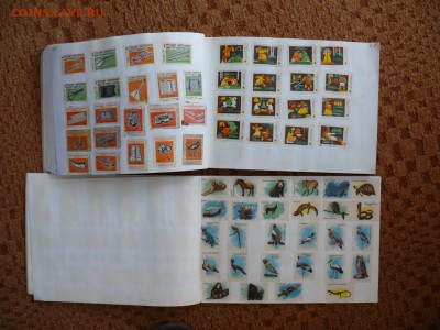 2 альбома с накленными спичечными этикетками. 90 страниц! - P1780838_новый размер.JPG