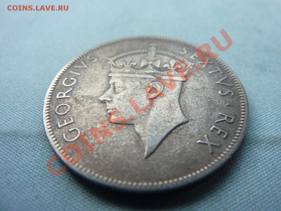 ВОСТОЧНАЯ АФРИКА 1 шиллинг 1950г.ЛЕВ, до 28.04.11 в 22-00 - MEMO0016.JPG