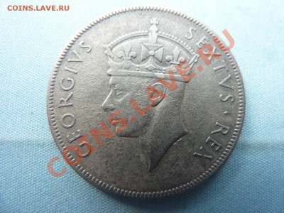 ВОСТОЧНАЯ АФРИКА 1 шиллинг 1950г.ЛЕВ, до 28.04.11 в 22-00 - MEMO0015.JPG