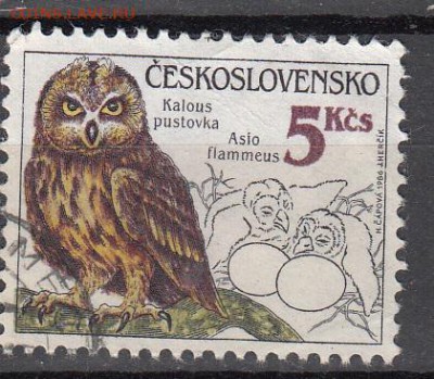 ЧССР сова 1м - 319