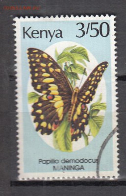 Кения бабочки 1м - 330