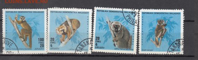 Мадагаскар фауна 4м - 352