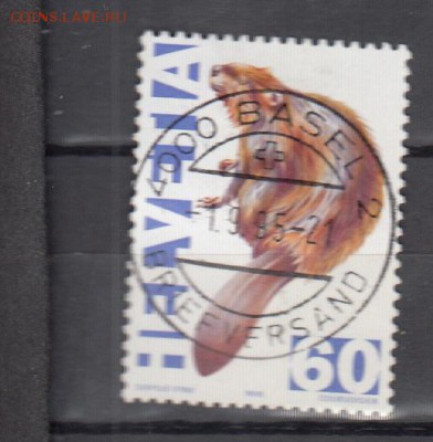 Швейцария 1995 бобр 1м - 353