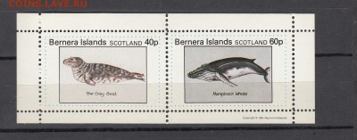 Шотландия 1981 морская фауна лист - 367
