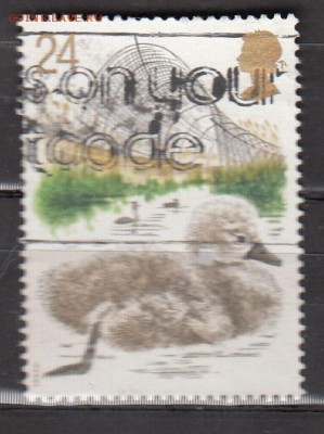 Великобритания утенок 1м - 385