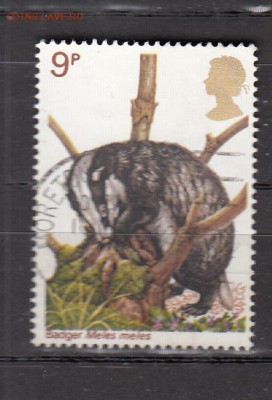Великобритания фауна 1м - 390
