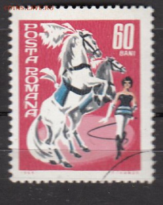 Румыния кони цирк 1м - 393