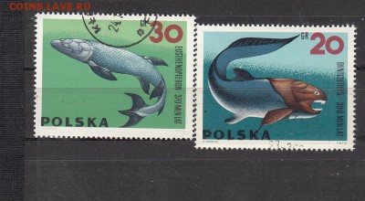 Польша доисторические рыбы 2м - 409