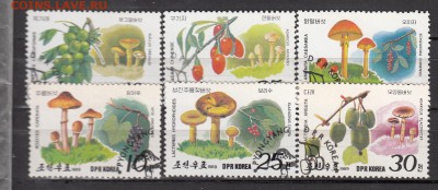 КНДР 1989 грибы 6м - 418