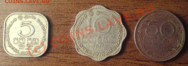 5-1978, 10-1978, 50-1975 центы - 71.JPG