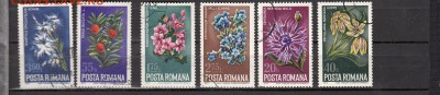 Румыния 1974цветы 4м - 429
