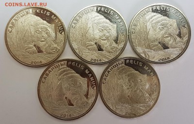 Казахстан 5 монет Манул с 200р до 23.05.2018 в 22.00 - манул1