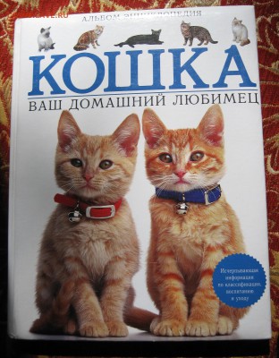 Энциклопедия "Кошки" до 23.05.18 в 22.00 по мск - IMG_4625.JPG