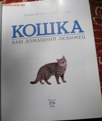 Энциклопедия "Кошки" до 23.05.18 в 22.00 по мск - IMG_4626.JPG