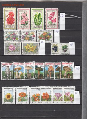 Цветы по фиксу (2) - 438