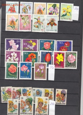 Цветы по фиксу (4) - 440