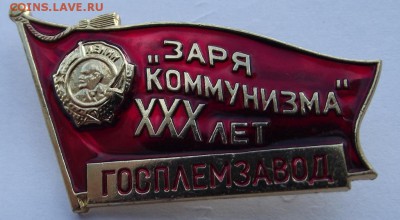 Значок "Заря Коммунизма"30 лет Госплемзавод. - DSCF2982.JPG