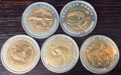 Красная книга 1993г. UNC до 24.05.2018 22:00 МСК - IMG_7468.JPG