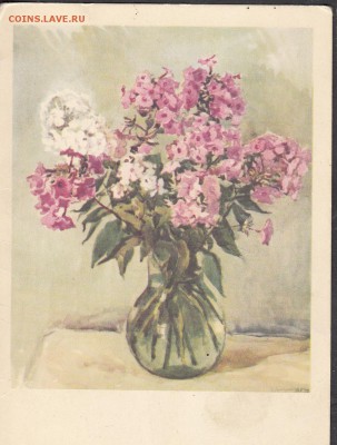 ПК СССР 1960 флоксы - 156