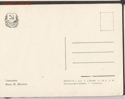 СССР ПК 1958 гвоздика - 157а
